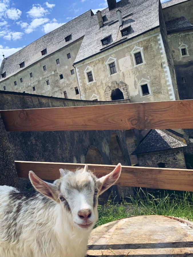Burg Altpernstein Hotell Micheldorf in Oberösterreich Exteriör bild