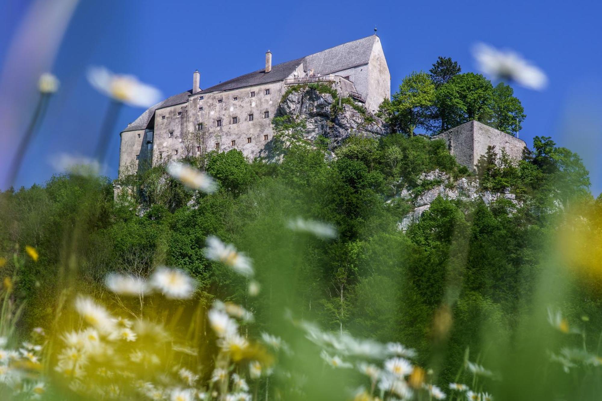 Burg Altpernstein Hotell Micheldorf in Oberösterreich Exteriör bild