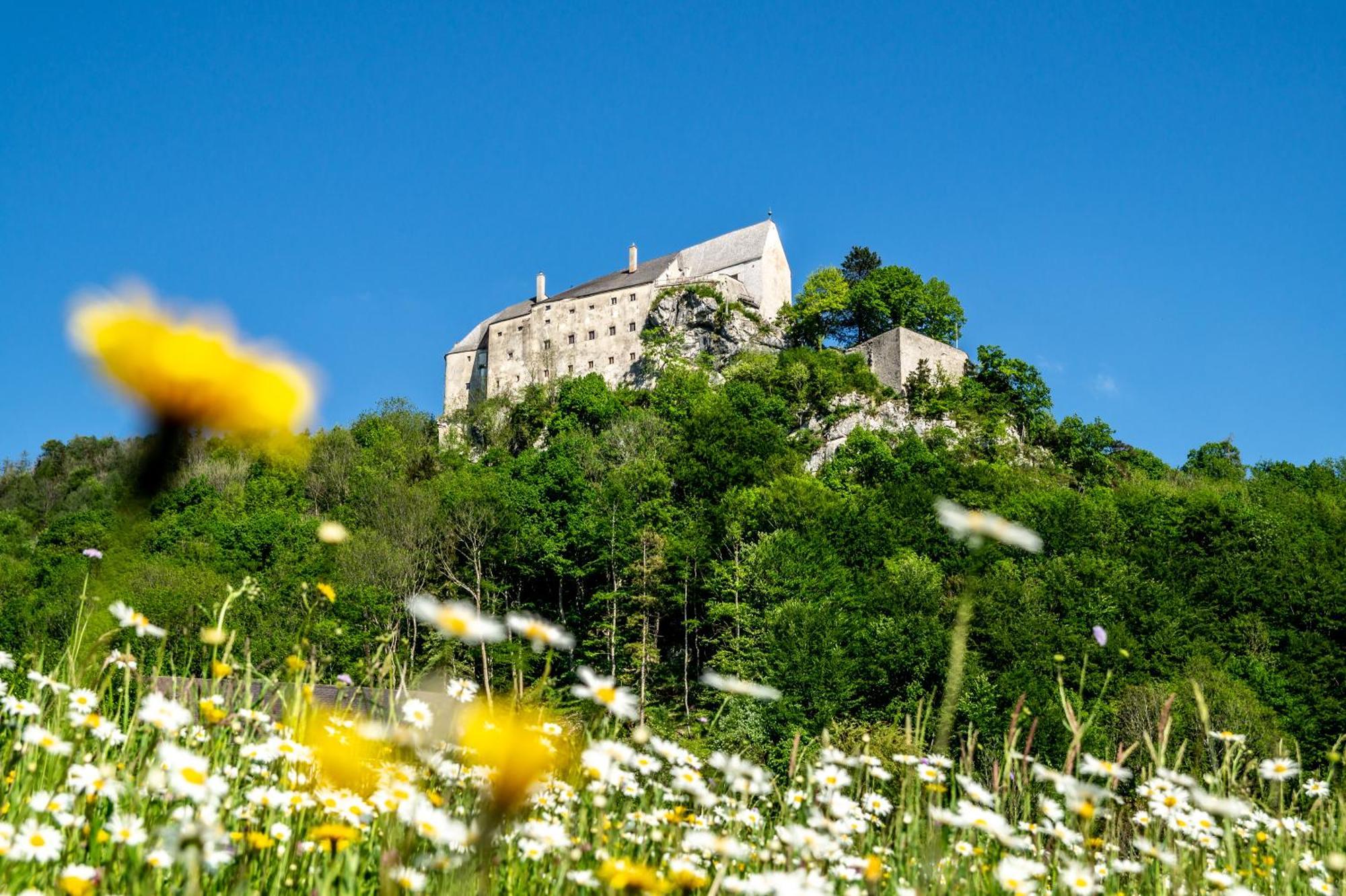 Burg Altpernstein Hotell Micheldorf in Oberösterreich Exteriör bild